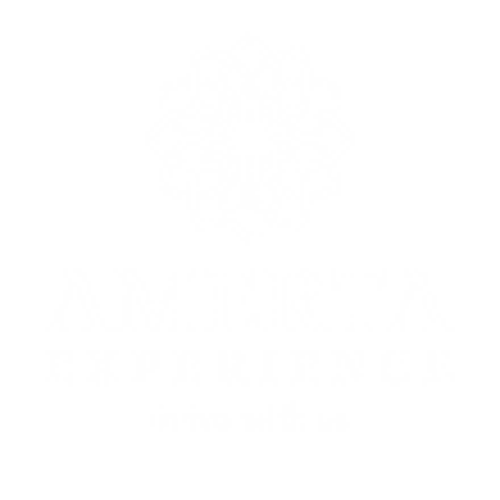 logo baru amerta